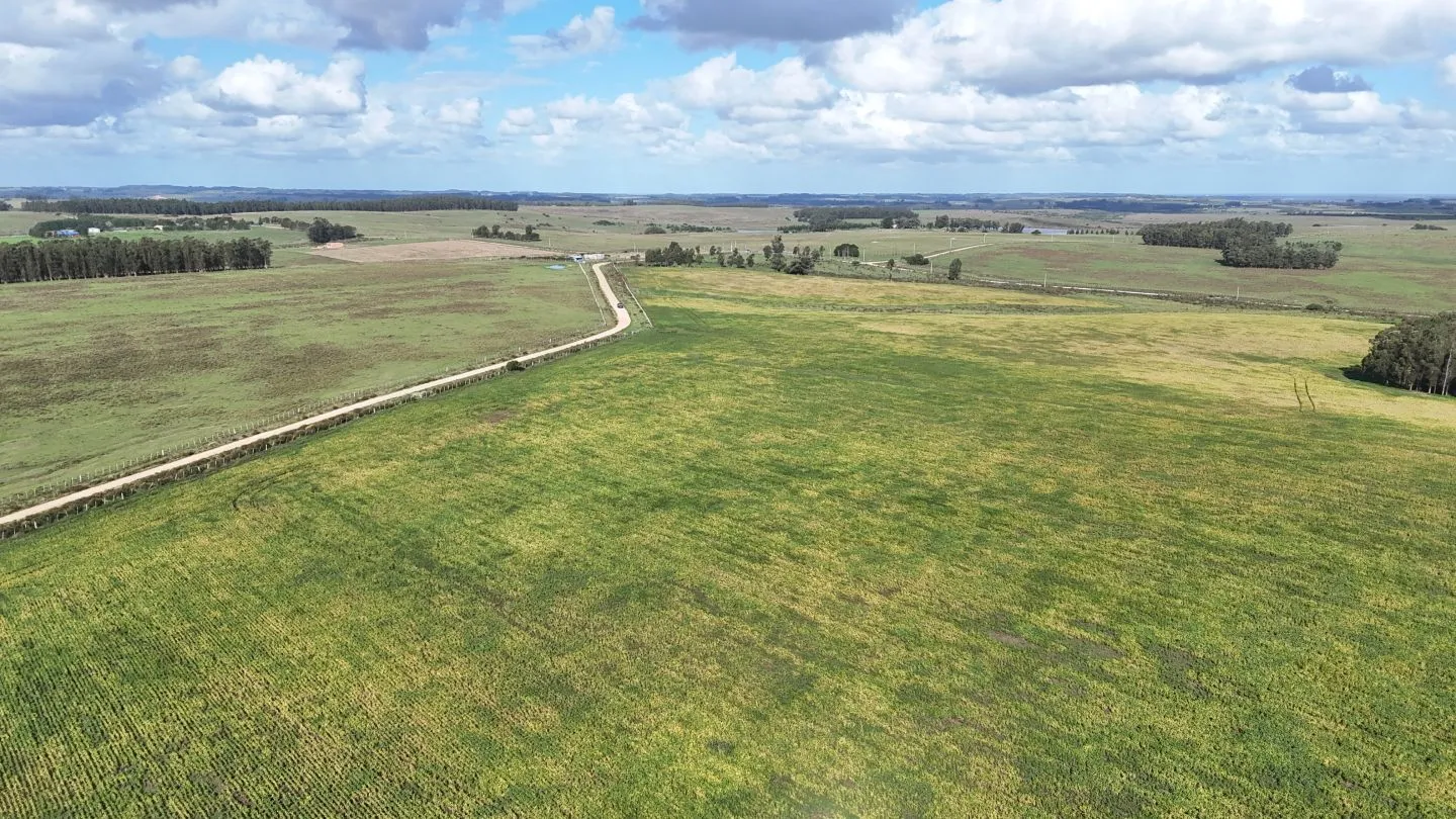 campo en venta en Punta del Este — foto 17