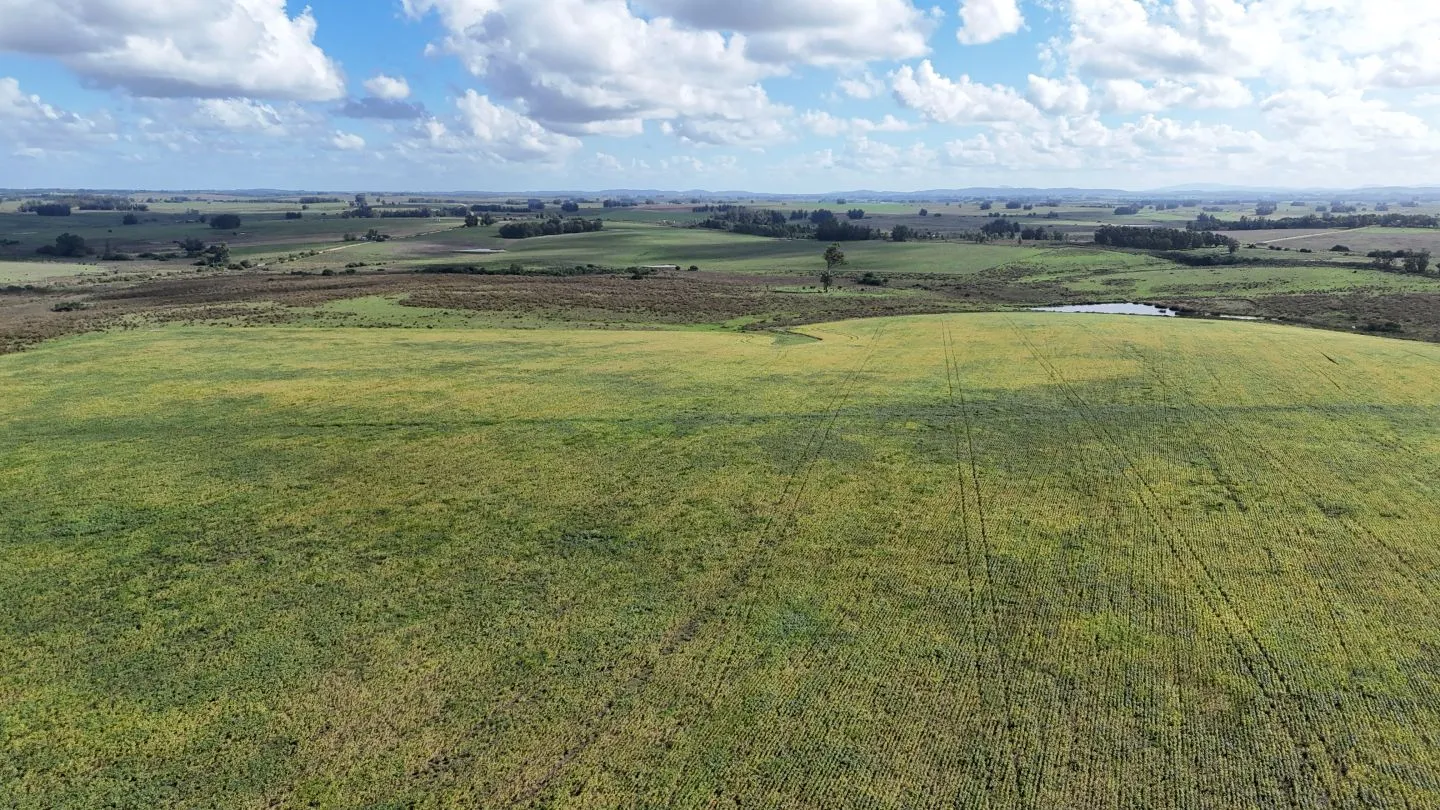 campo en venta en Punta del Este — foto 18