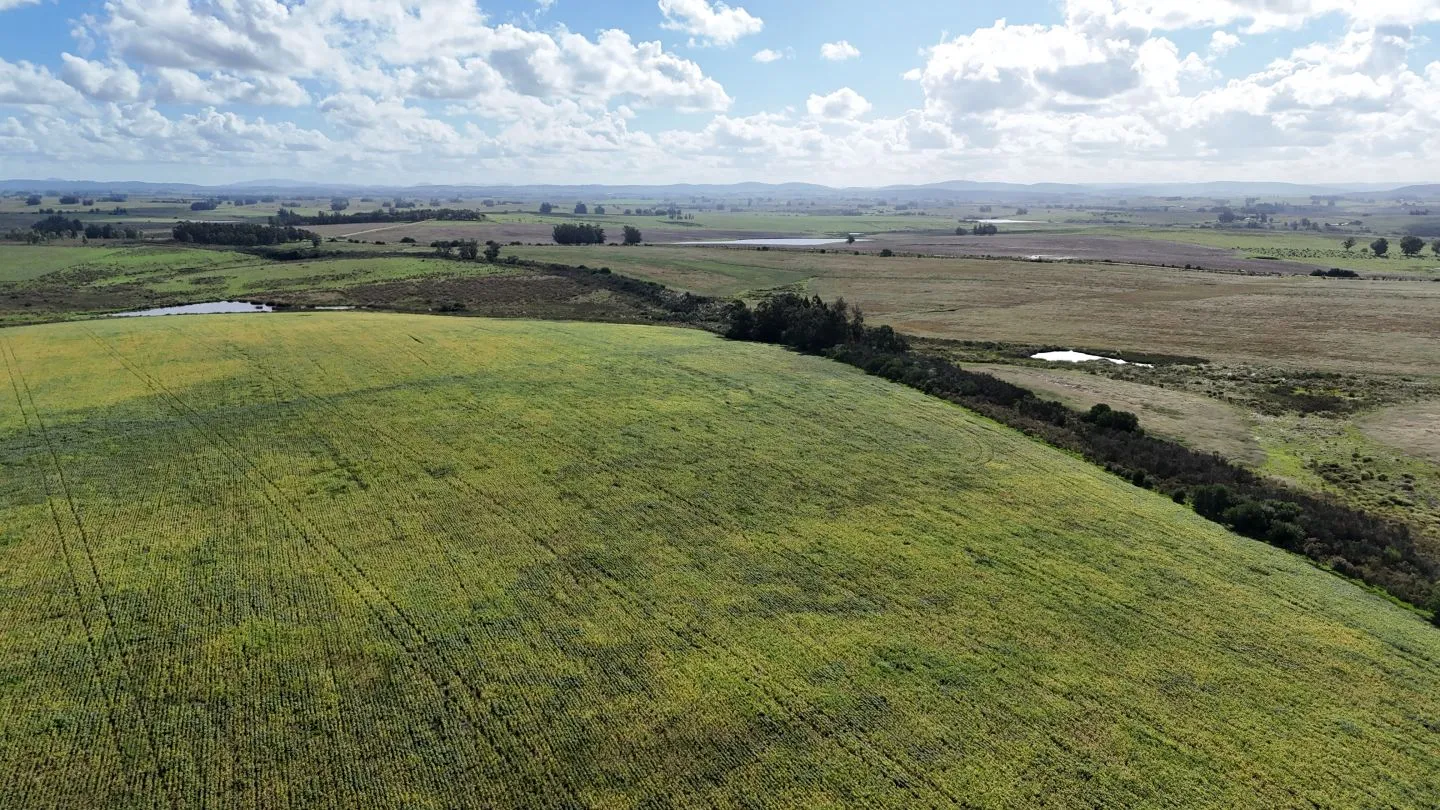 campo en venta en Punta del Este — foto 19
