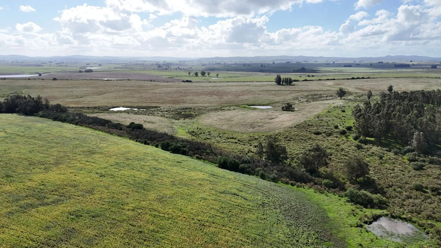 campo en venta en Punta del Este — foto 20