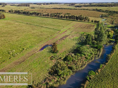 Campo de 20ha con costa de arroyo en Maldonado.