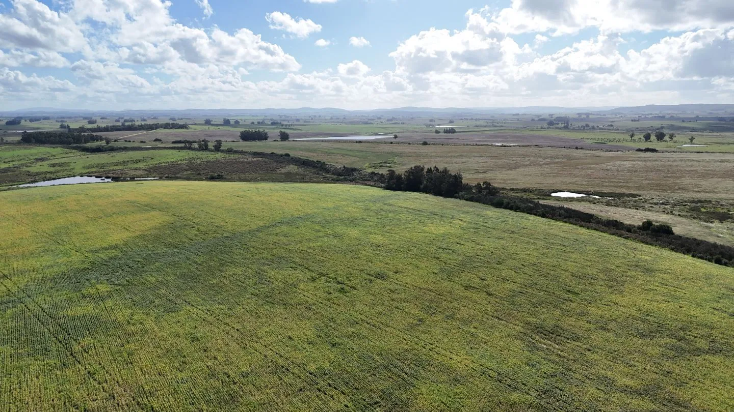 campo en venta en Punta del Este — foto 21