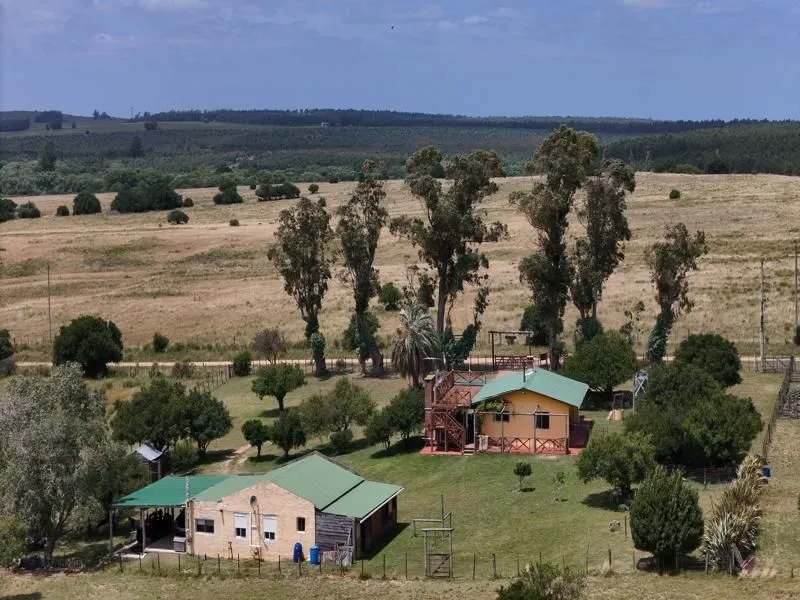 Chacra de 7 ha en Zona Pueblo Edén con casa y mejoras — foto 12