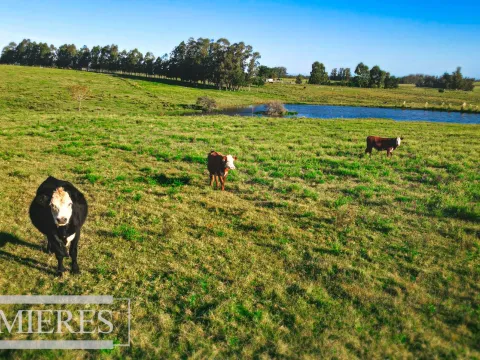 Campo de 20ha con costa de arroyo en Maldonado. — foto 3