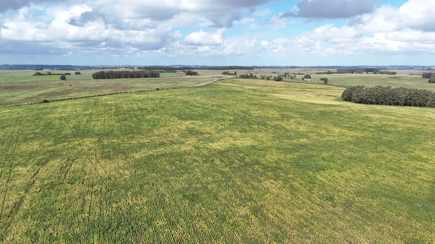 campo en venta en Punta del Este — foto 23