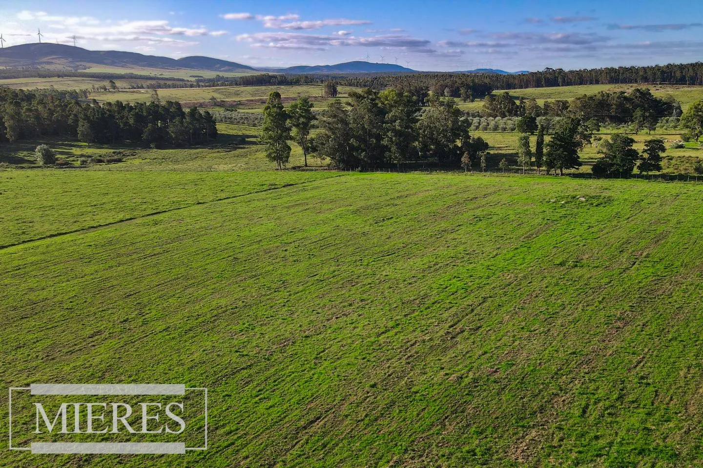 Campo de 20ha con costa de arroyo en Maldonado. — foto 4