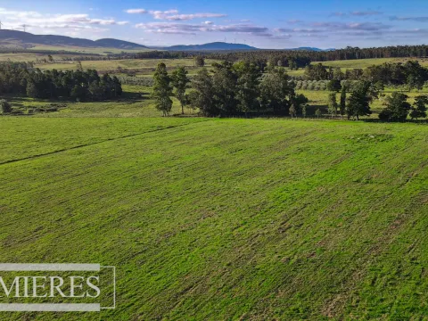 Campo de 20ha con costa de arroyo en Maldonado. — foto 4