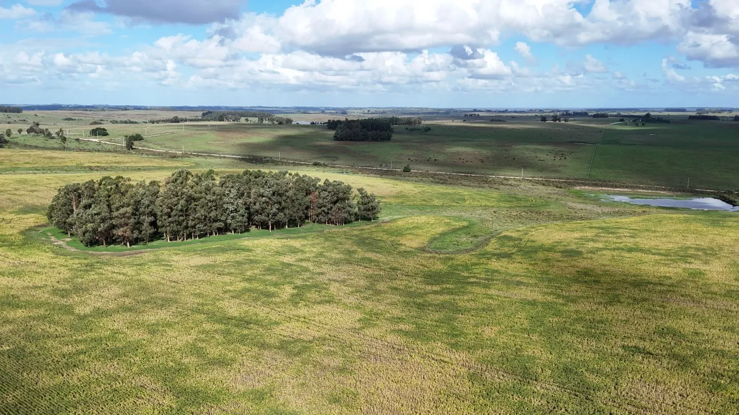 campo en venta en Punta del Este — foto 24