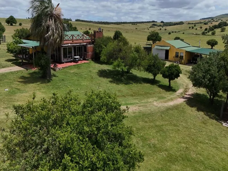 Chacra de 7 ha en Zona Pueblo Edén con casa y mejoras — foto 15