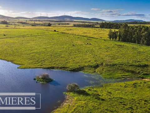 Campo de 20ha con costa de arroyo en Maldonado. — foto 5