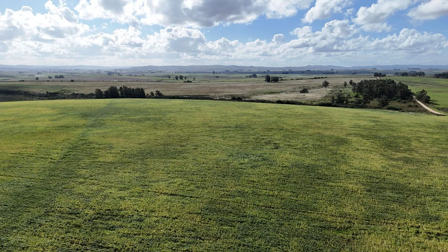campo en venta en Punta del Este — foto 25