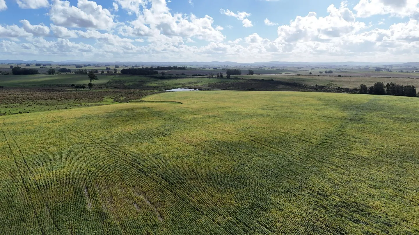 campo en venta en Punta del Este — foto 26