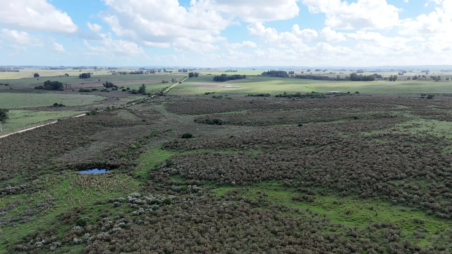 campo en venta en Punta del Este — foto 27