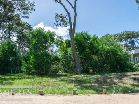 Terreno en José Ignacio — foto 3