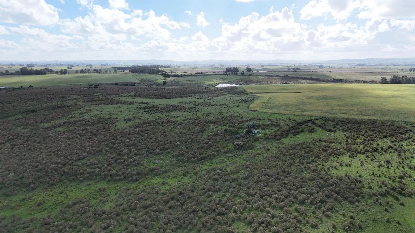 campo en venta en Punta del Este — foto 28