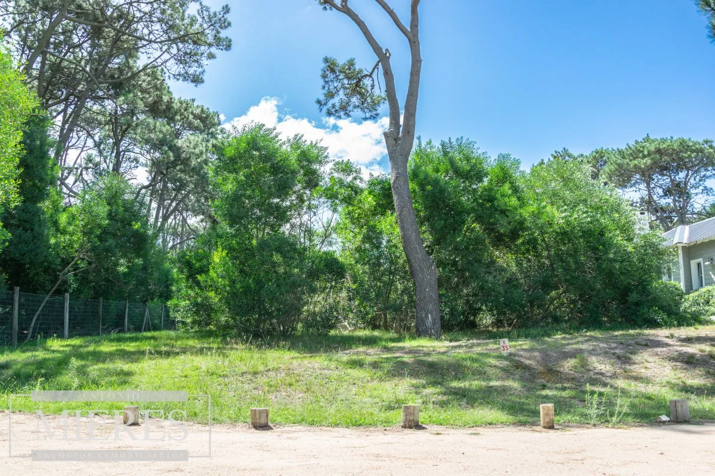 Terreno en José Ignacio — foto 4