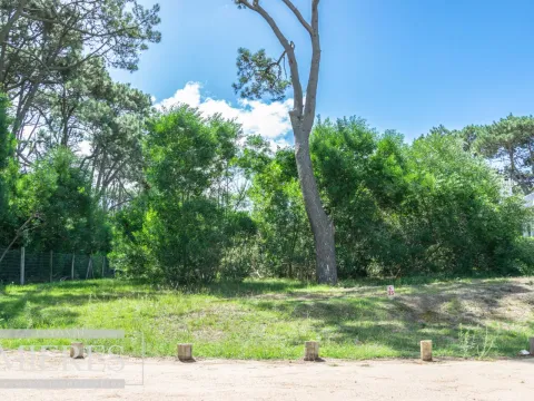 Terreno en José Ignacio — foto 4