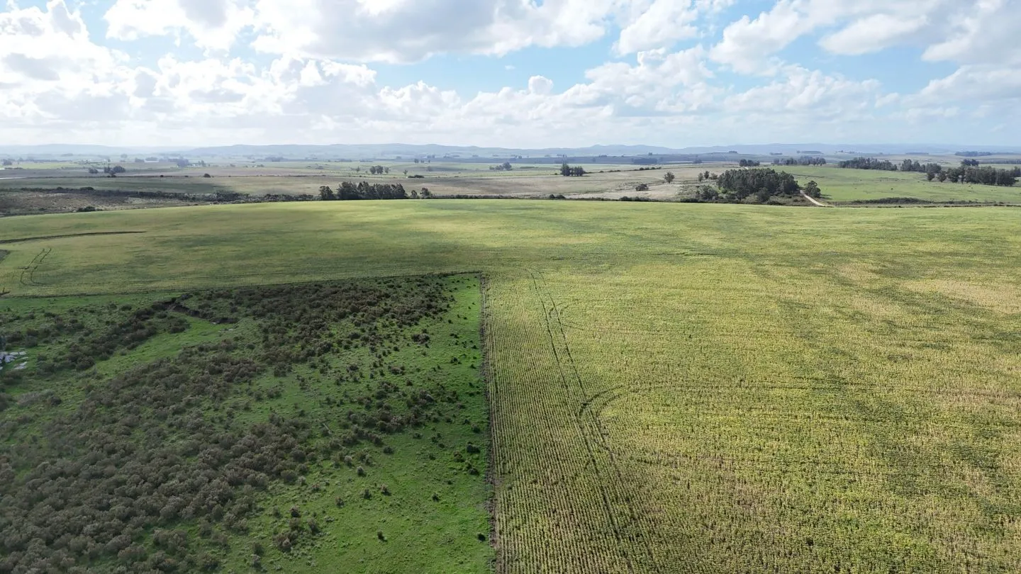 campo en venta en Punta del Este — foto 29