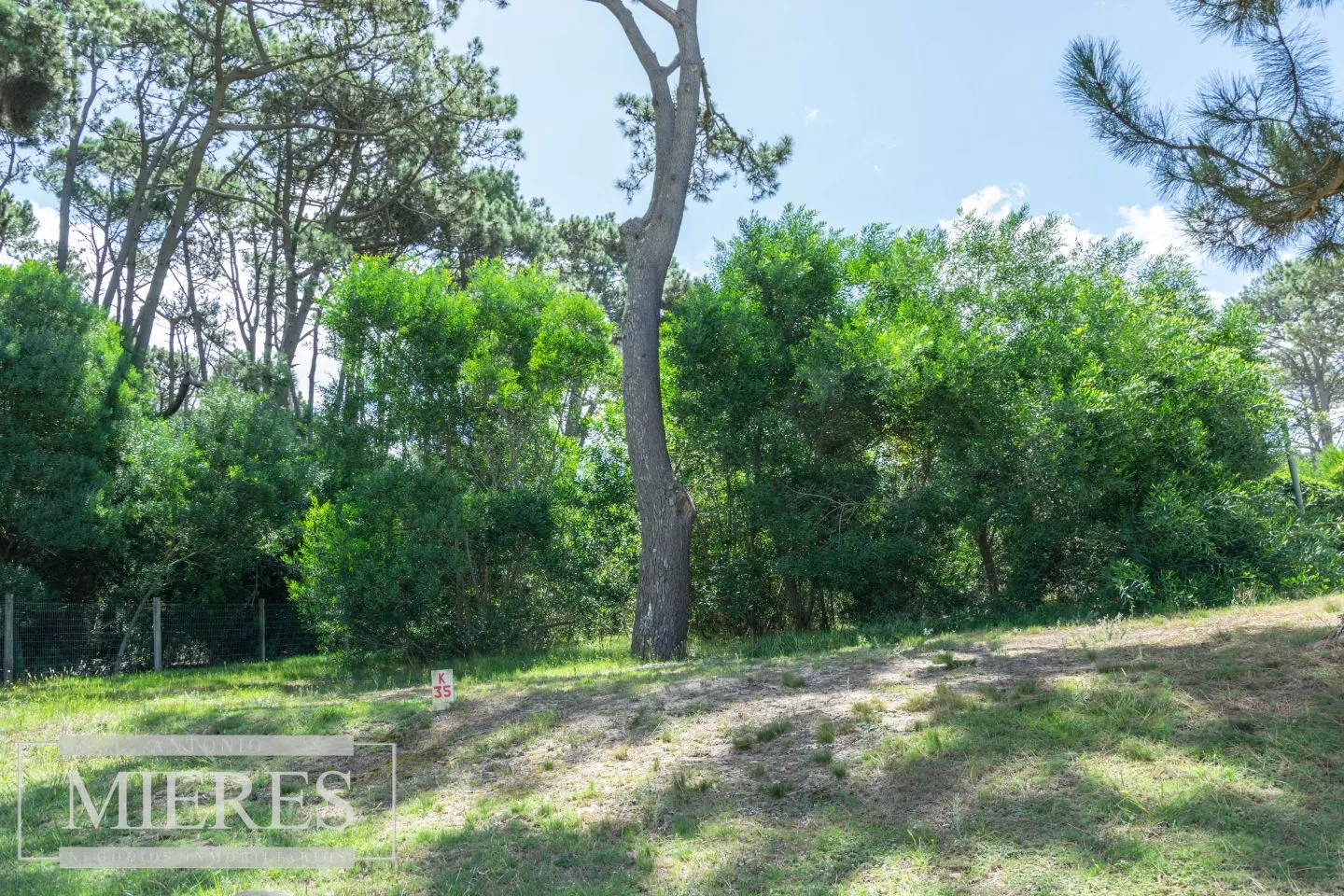 Terreno en José Ignacio — foto 6