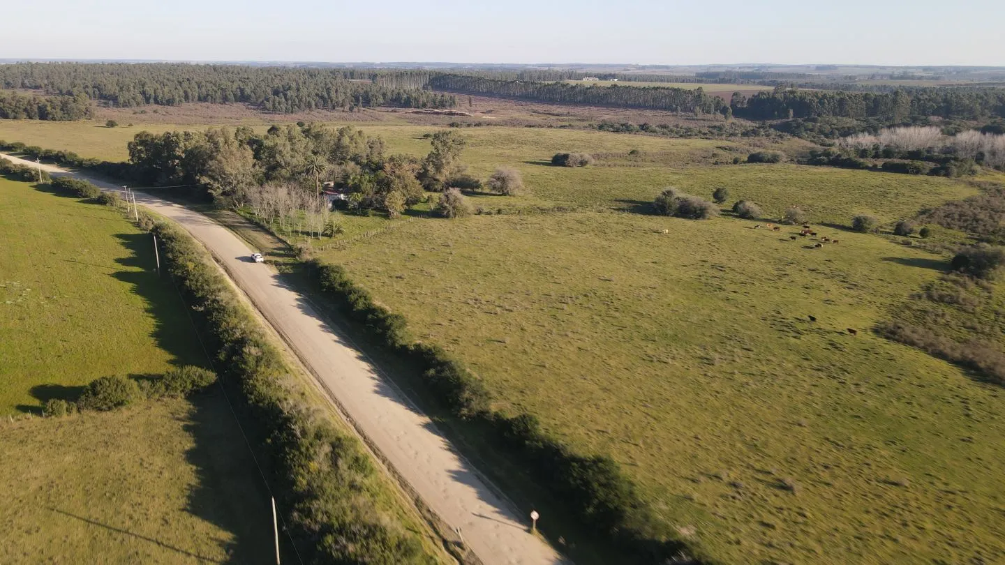 Campo de 38 ha en Solis de Mataojo — foto 1
