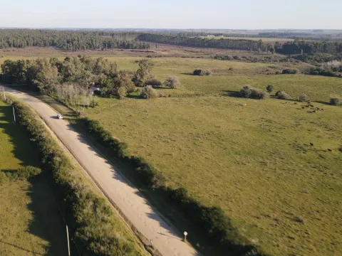 Campo de 38 ha en Solis de Mataojo