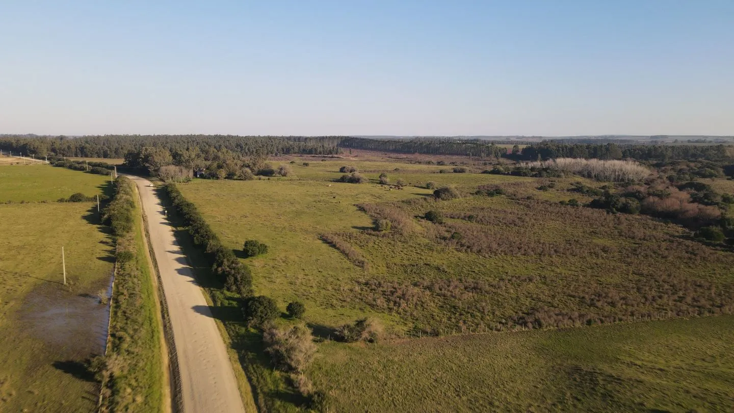 Campo de 38 ha en Solis de Mataojo — foto 2