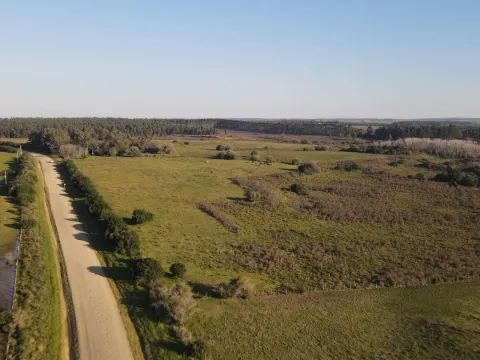 Campo de 38 ha en Solis de Mataojo — foto 2