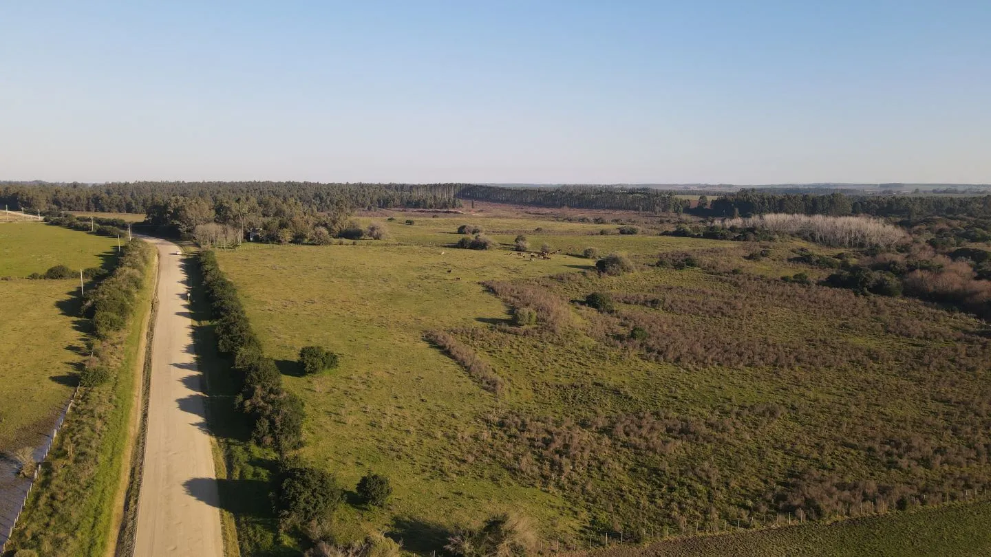Campo de 38 ha en Solis de Mataojo — foto 3