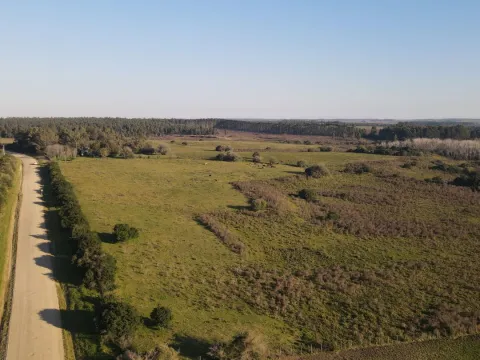 Campo de 38 ha en Solis de Mataojo — foto 3