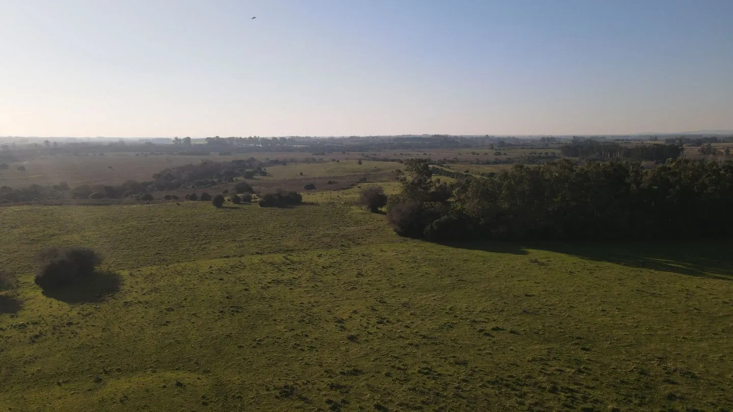Campo de 38 ha en Solis de Mataojo — foto 4