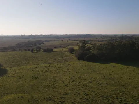 Campo de 38 ha en Solis de Mataojo — foto 4