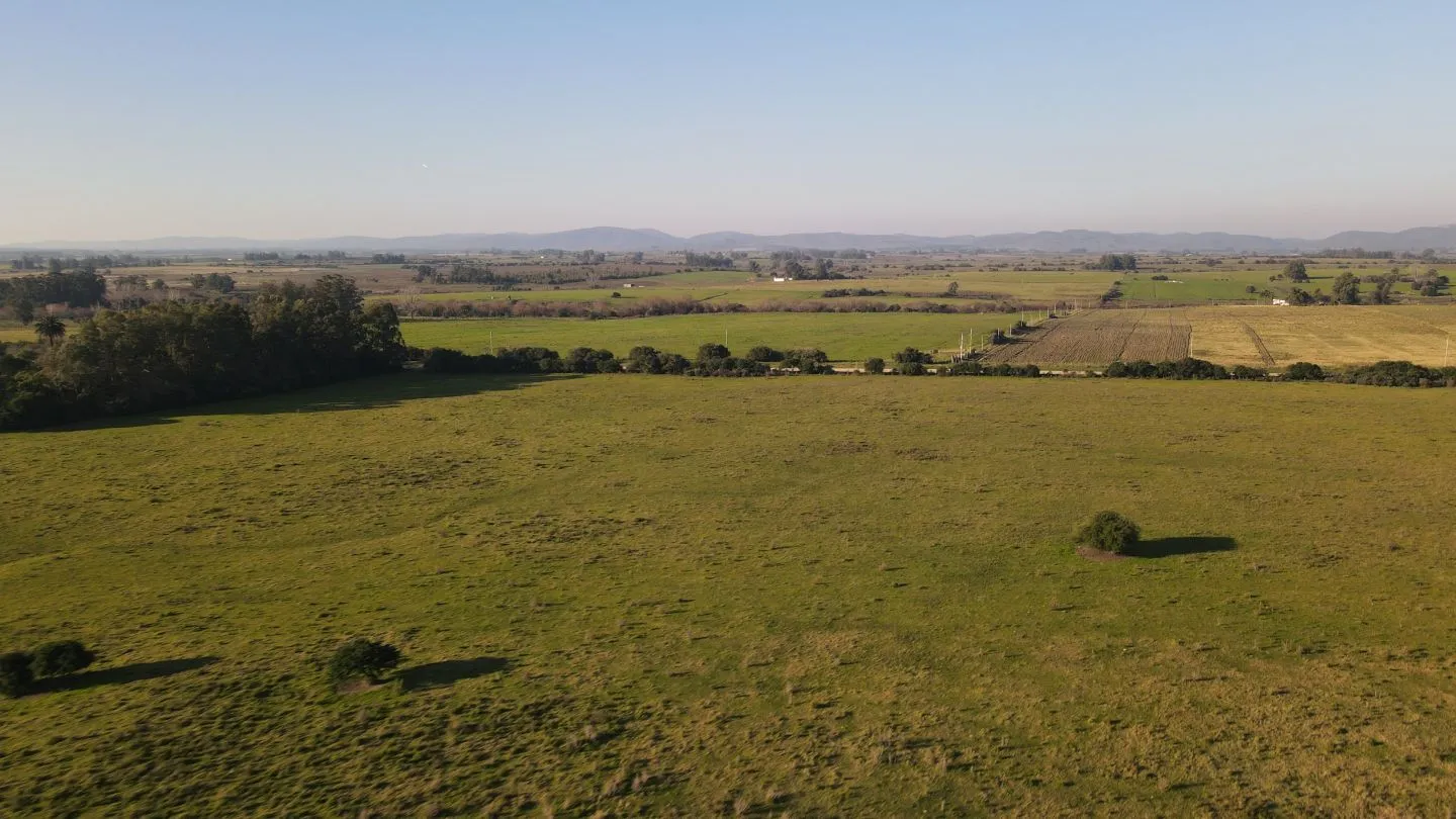 Campo de 38 ha en Solis de Mataojo — foto 5