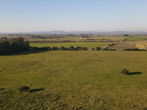 Campo de 38 ha en Solis de Mataojo — foto 5