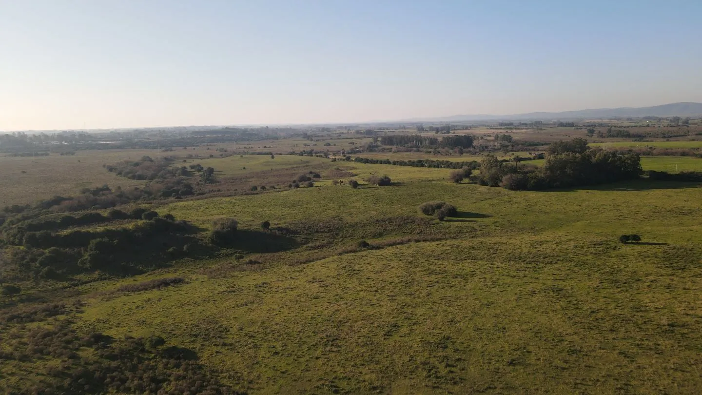 Campo de 38 ha en Solis de Mataojo — foto 6