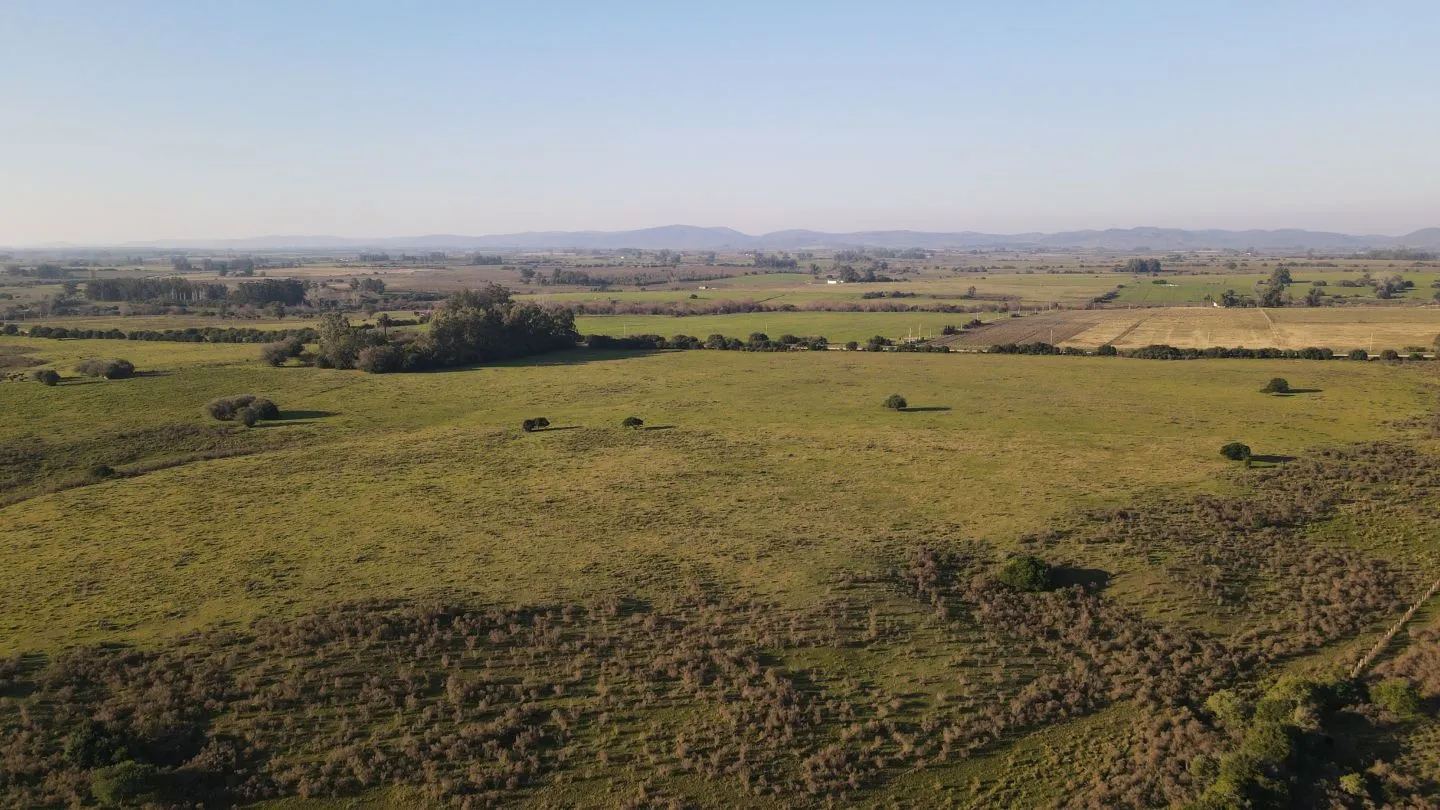 Campo de 38 ha en Solis de Mataojo — foto 7