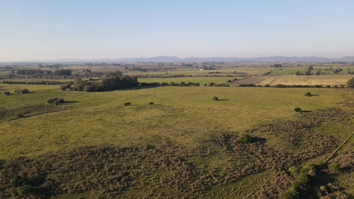 Campo de 38 ha en Solis de Mataojo — foto 8