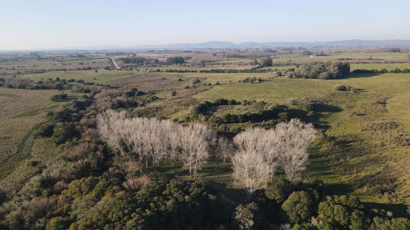 Campo de 38 ha en Solis de Mataojo — foto 9