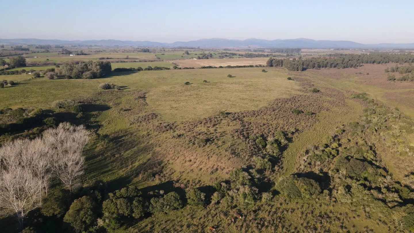 Campo de 38 ha en Solis de Mataojo — foto 10