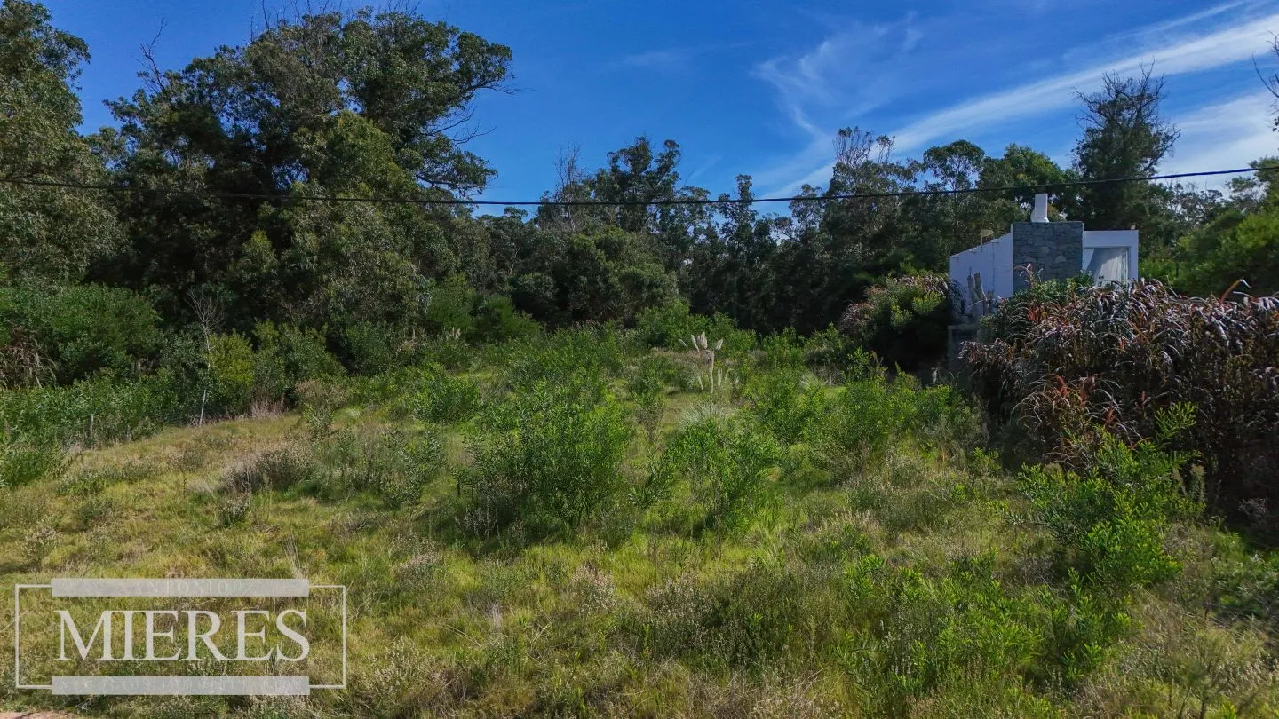 Exclusivos 2 terrenos en venta en Santa Mónica, José Ignacio — foto 8