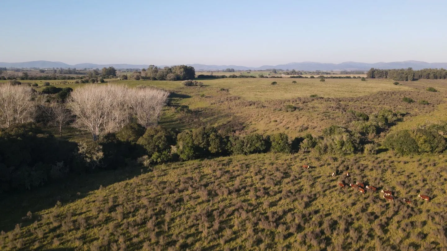 Campo de 38 ha en Solis de Mataojo — foto 11