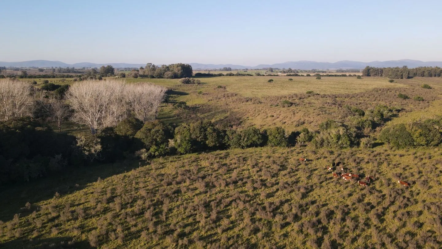 Campo de 38 ha en Solis de Mataojo — foto 12