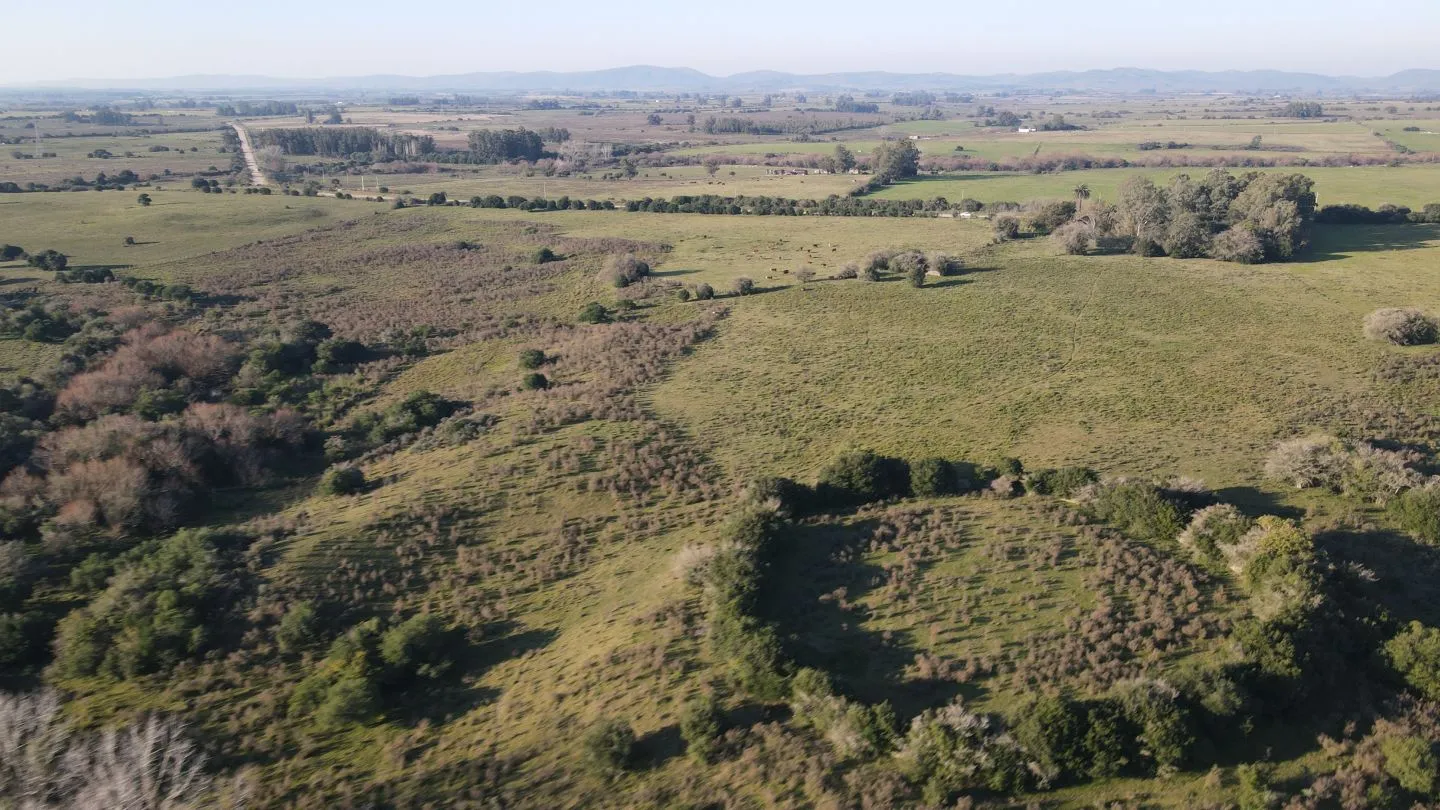 Campo de 38 ha en Solis de Mataojo — foto 13