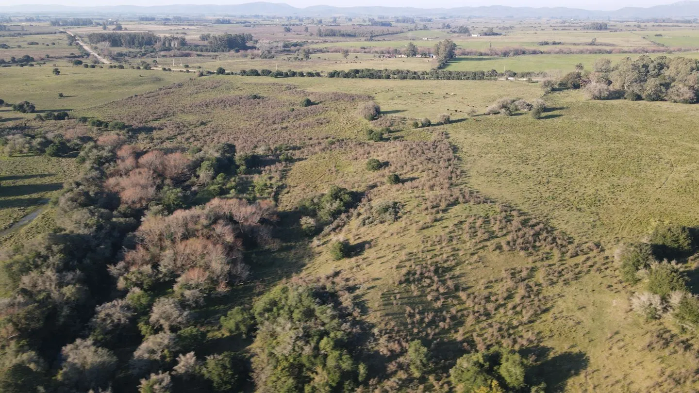 Campo de 38 ha en Solis de Mataojo — foto 14