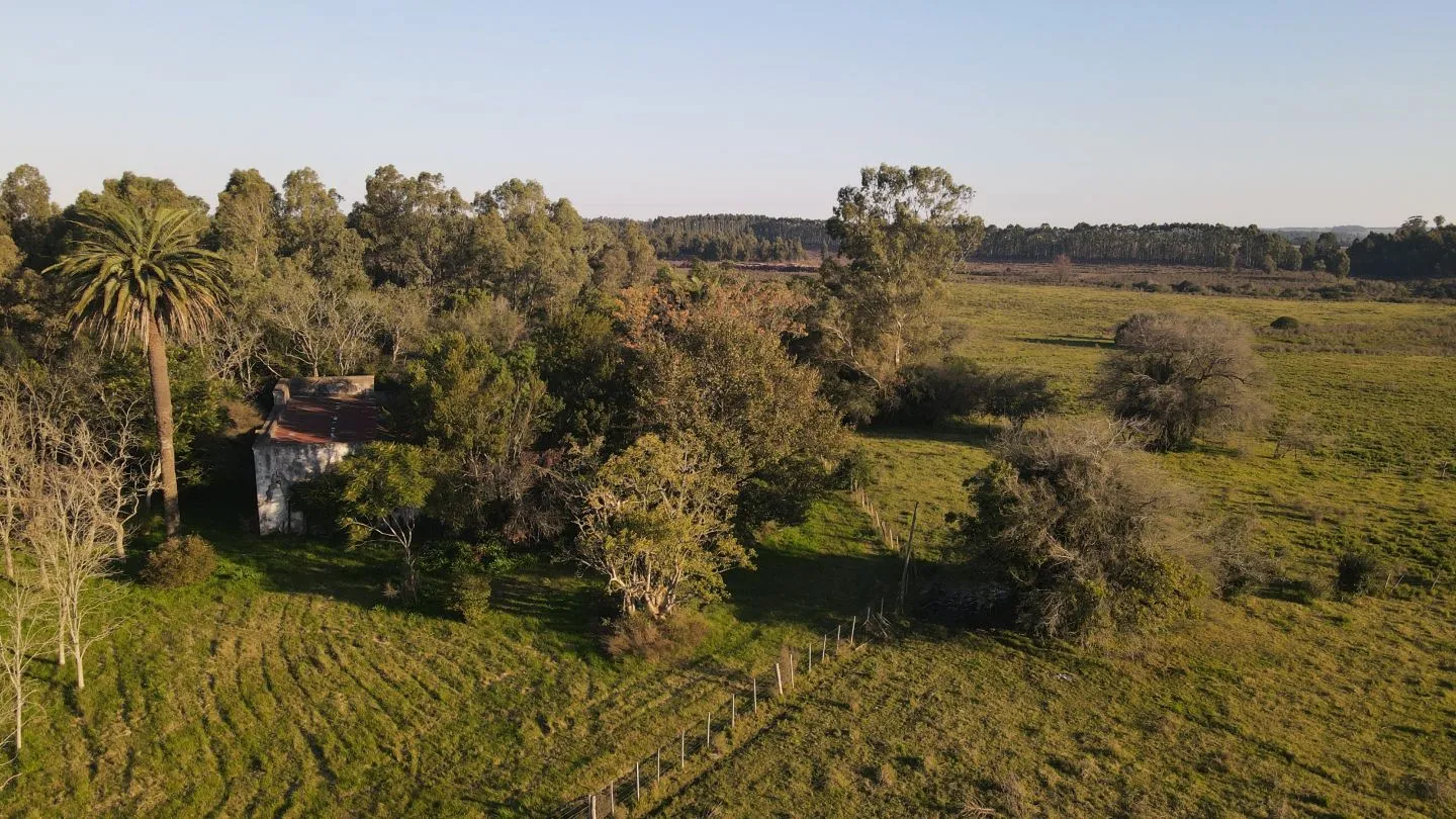 Campo de 38 ha en Solis de Mataojo — foto 16