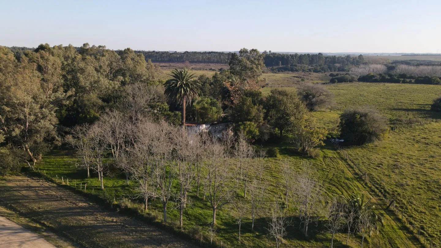 Campo de 38 ha en Solis de Mataojo — foto 17