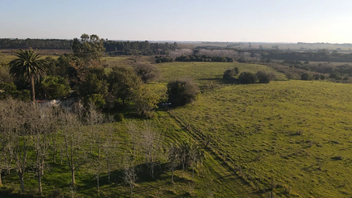 Campo de 38 ha en Solis de Mataojo — foto 18