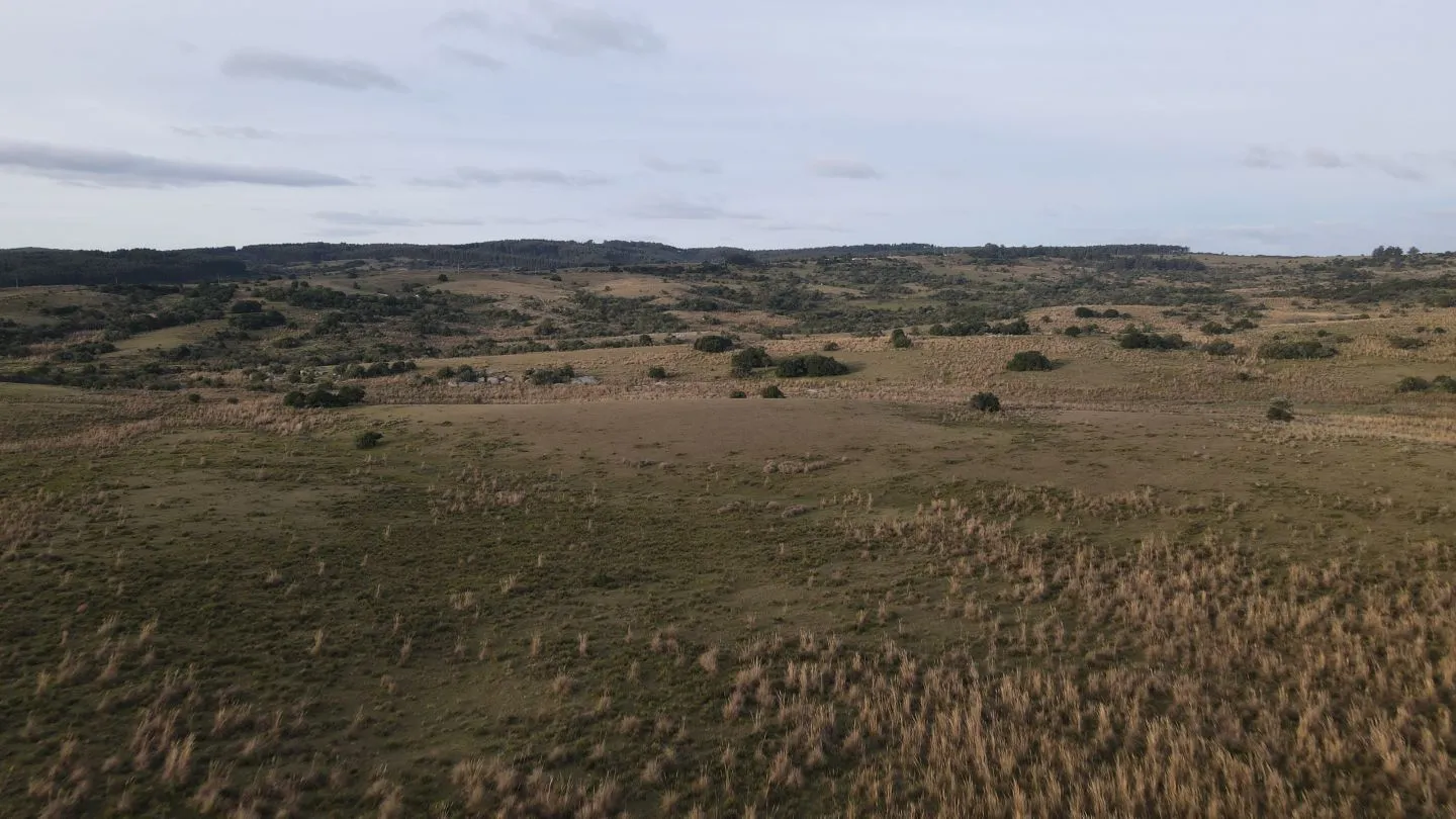 Campo de 22 ha en Garzón, Maldonado — foto 1