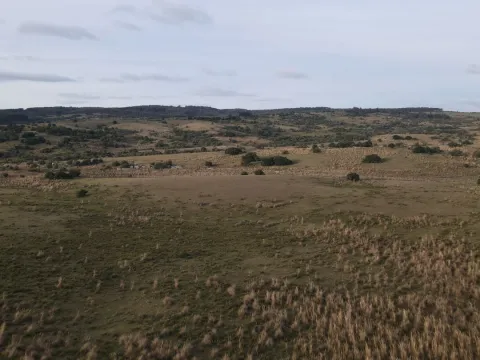 Campo de 22 ha en Garzón, Maldonado