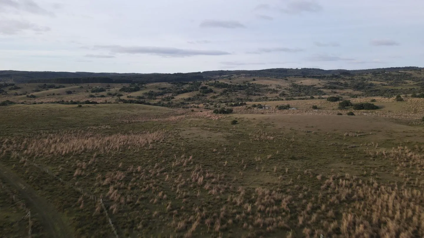 Campo de 22 ha en Garzón, Maldonado — foto 2