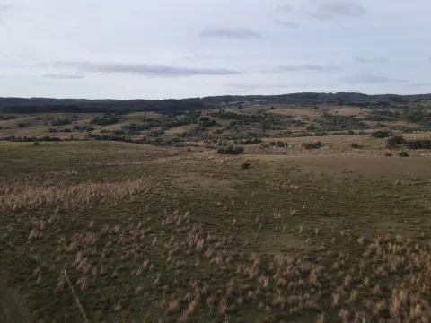 Campo de 22 ha en Garzón, Maldonado — foto 2